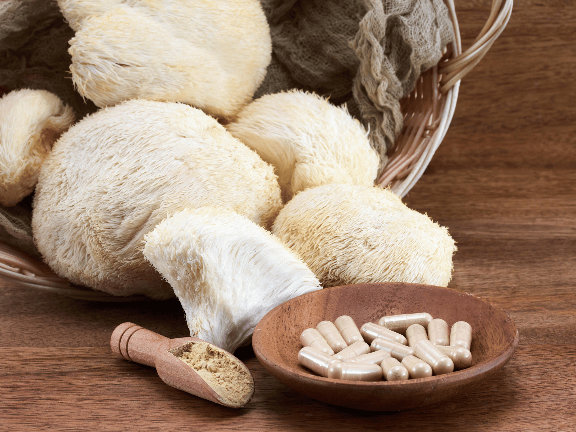 What Are Beta-Glucan Levels And Why They Matter When Choosing a Mushroom Supplement