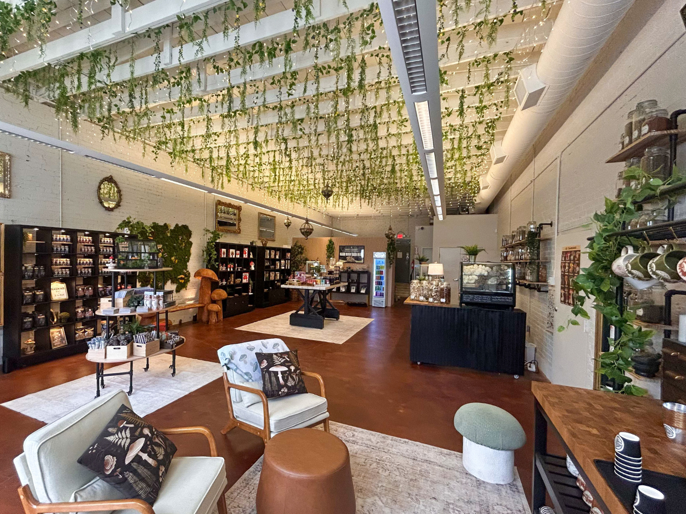 Mushroom Street Farms Launches Exciting Mushroom Cultivation Classes in Deep Ellum