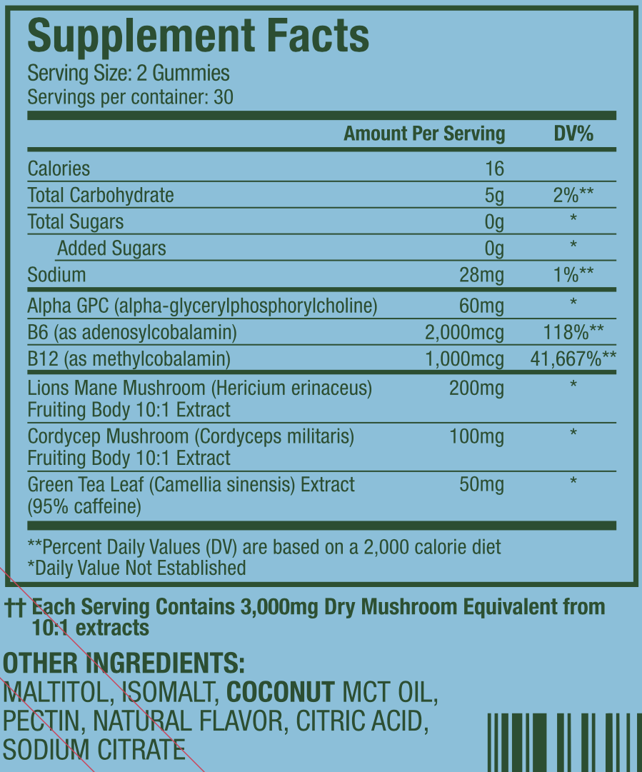 WonderFocus - Super Mushroom Gummies,