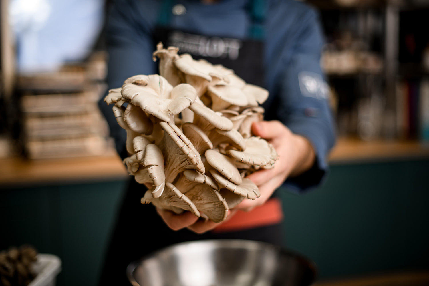 Chef holding bunch of oyster mushrooms in kitchen