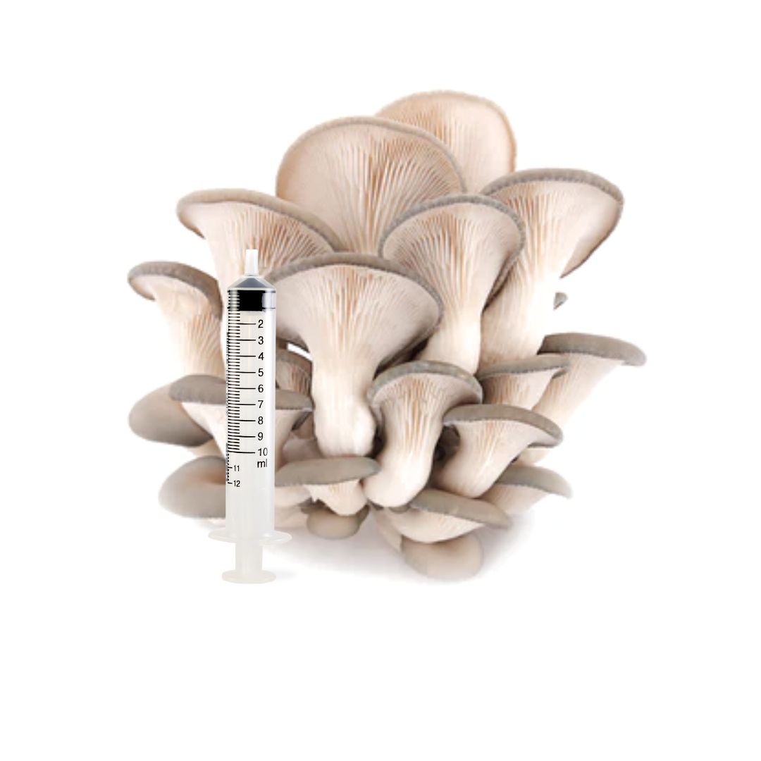 Mushroom Liquid Culture Syringes