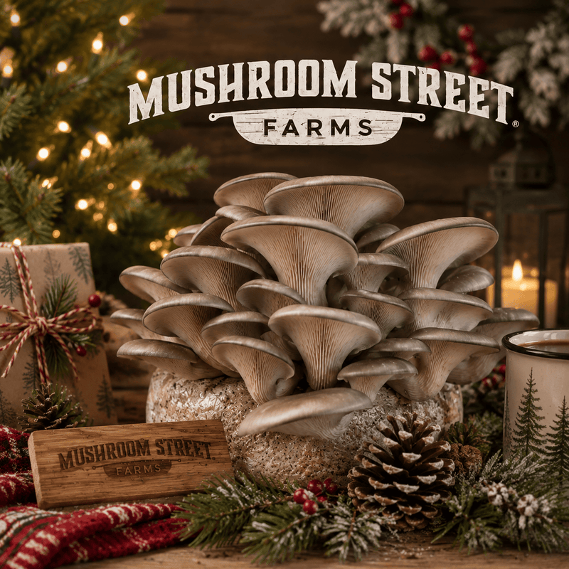 Mushroom Cultivation Workshop & Farm Tour (Dec 12, 2026)