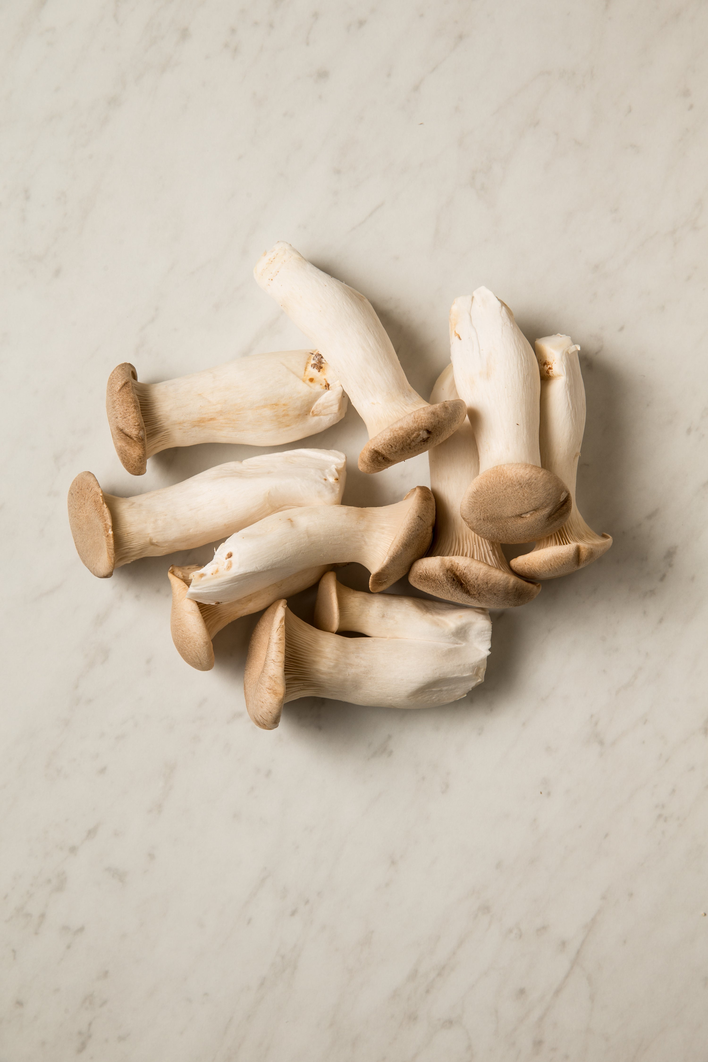 King Trumpet Mushrooms