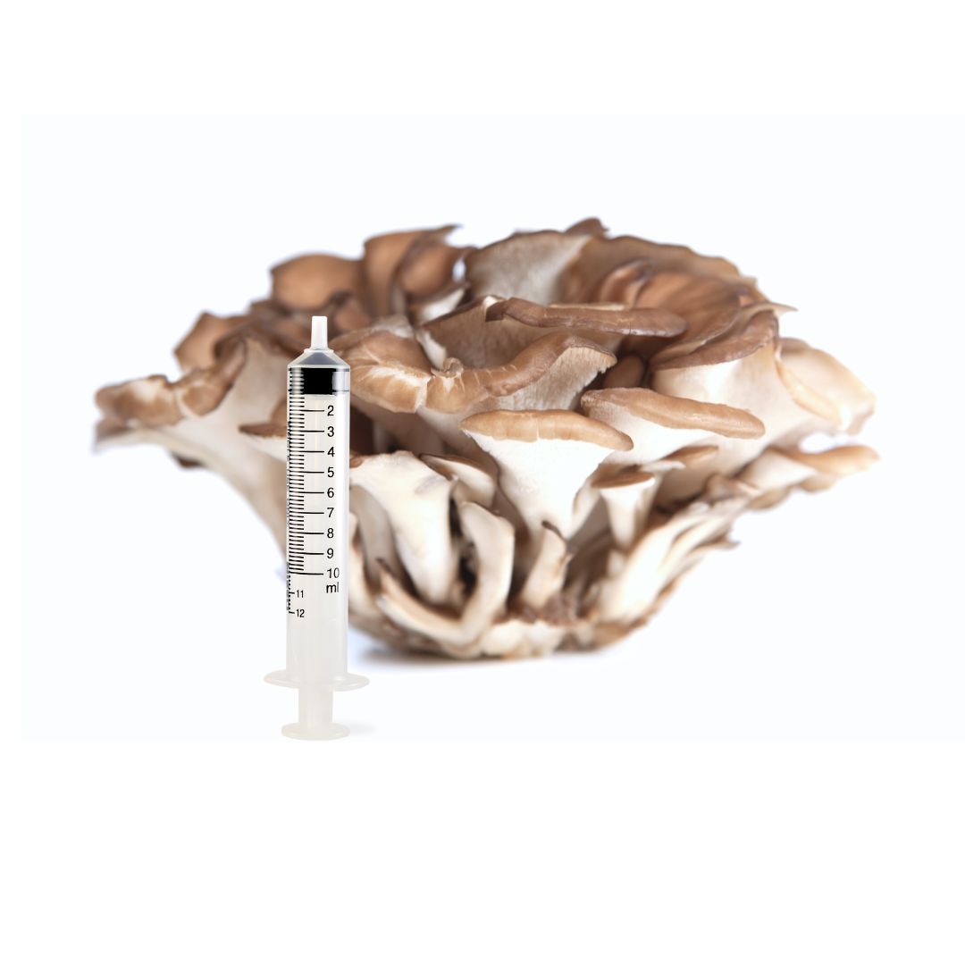 Mushroom Liquid Culture Syringes