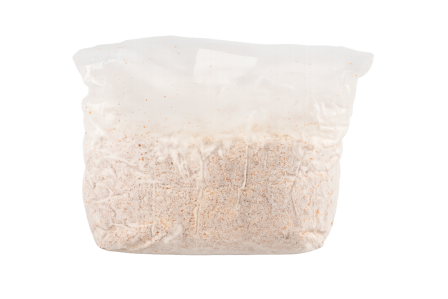 4 lb Wine Cap Mushroom Sawdust Spawn