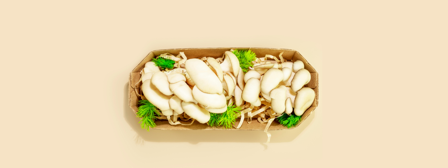 Cardboard basket filled with oyster mushrooms