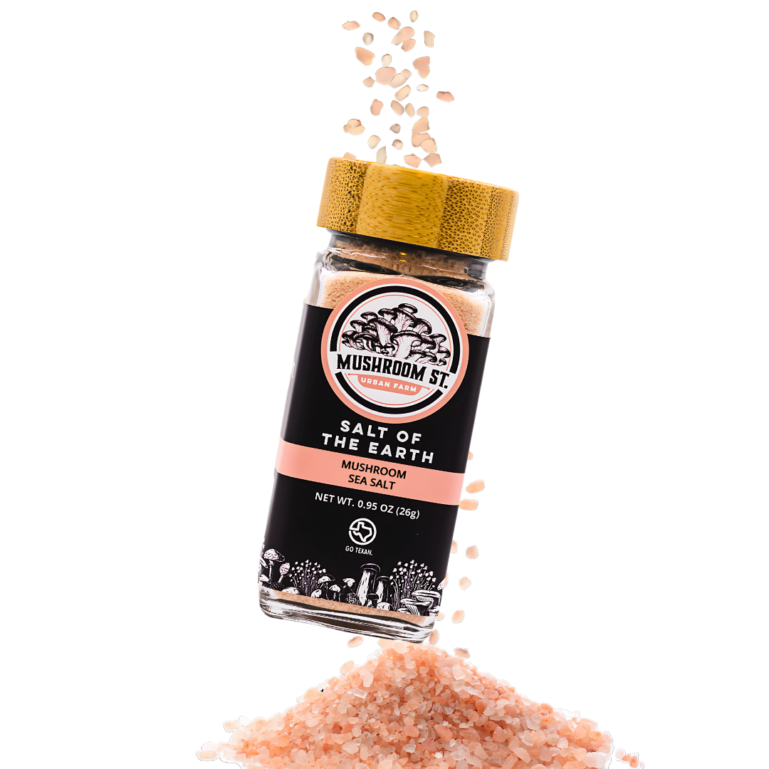 Salt of the Earth | Mushroom Sea Salt