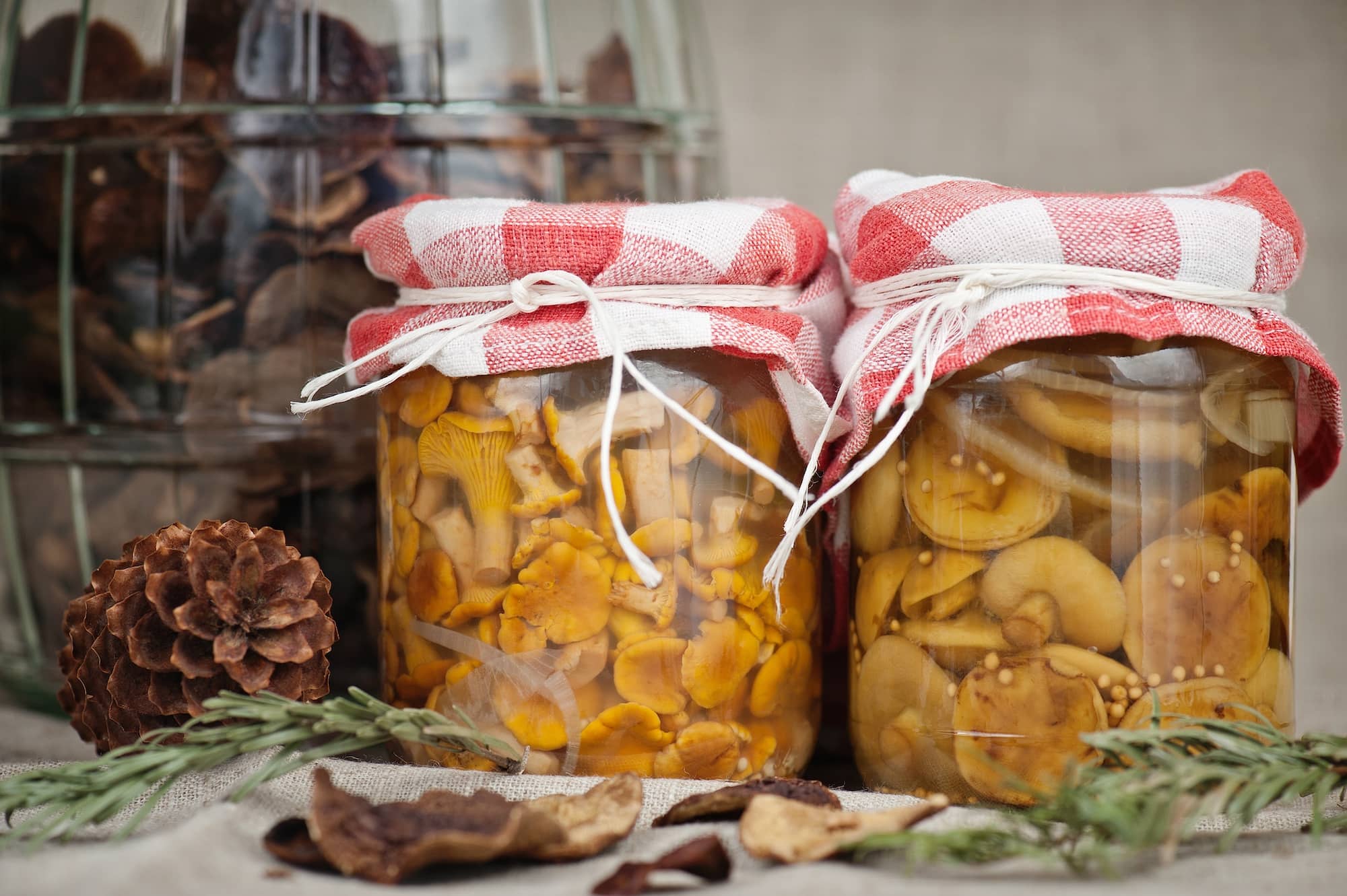 Two glass jars of pickled mushrooms with gingham cloth lids, beside a pine cone and dried leaves