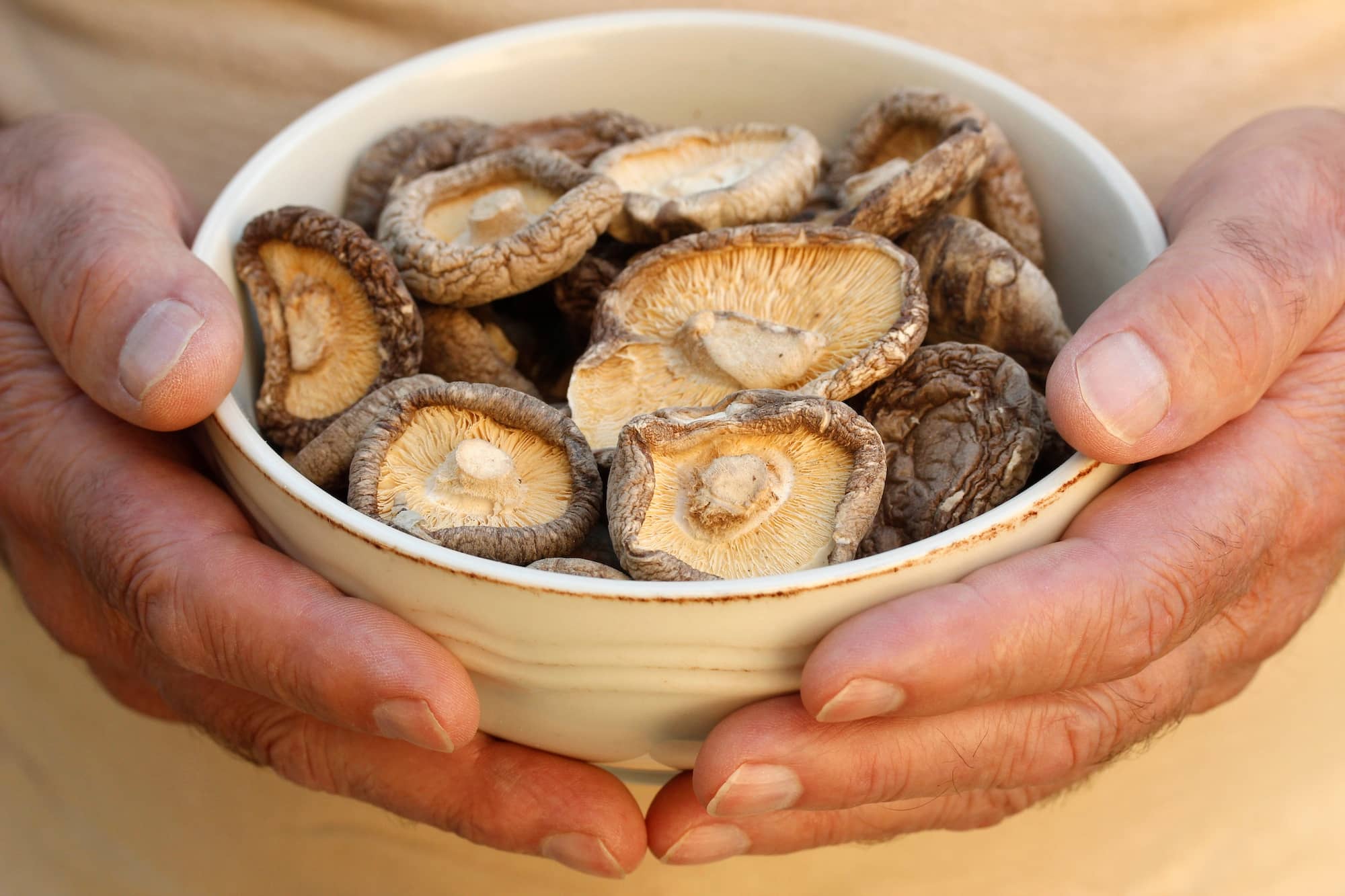 Hands cradling a ceramic bowl filled with dried shiitake mushrooms