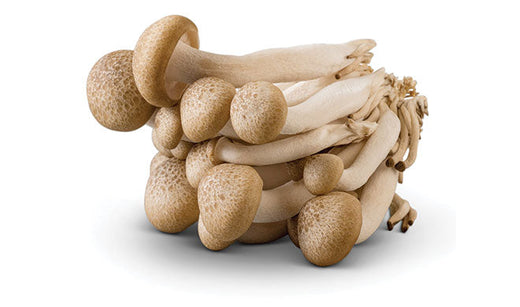 Cluster of brown beech mushrooms with speckled caps and white stems