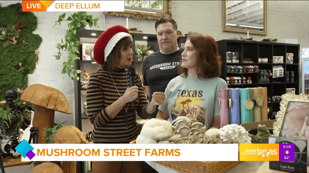 Mushroom Street Farms Featured on WFAA’s Good Morning Texas