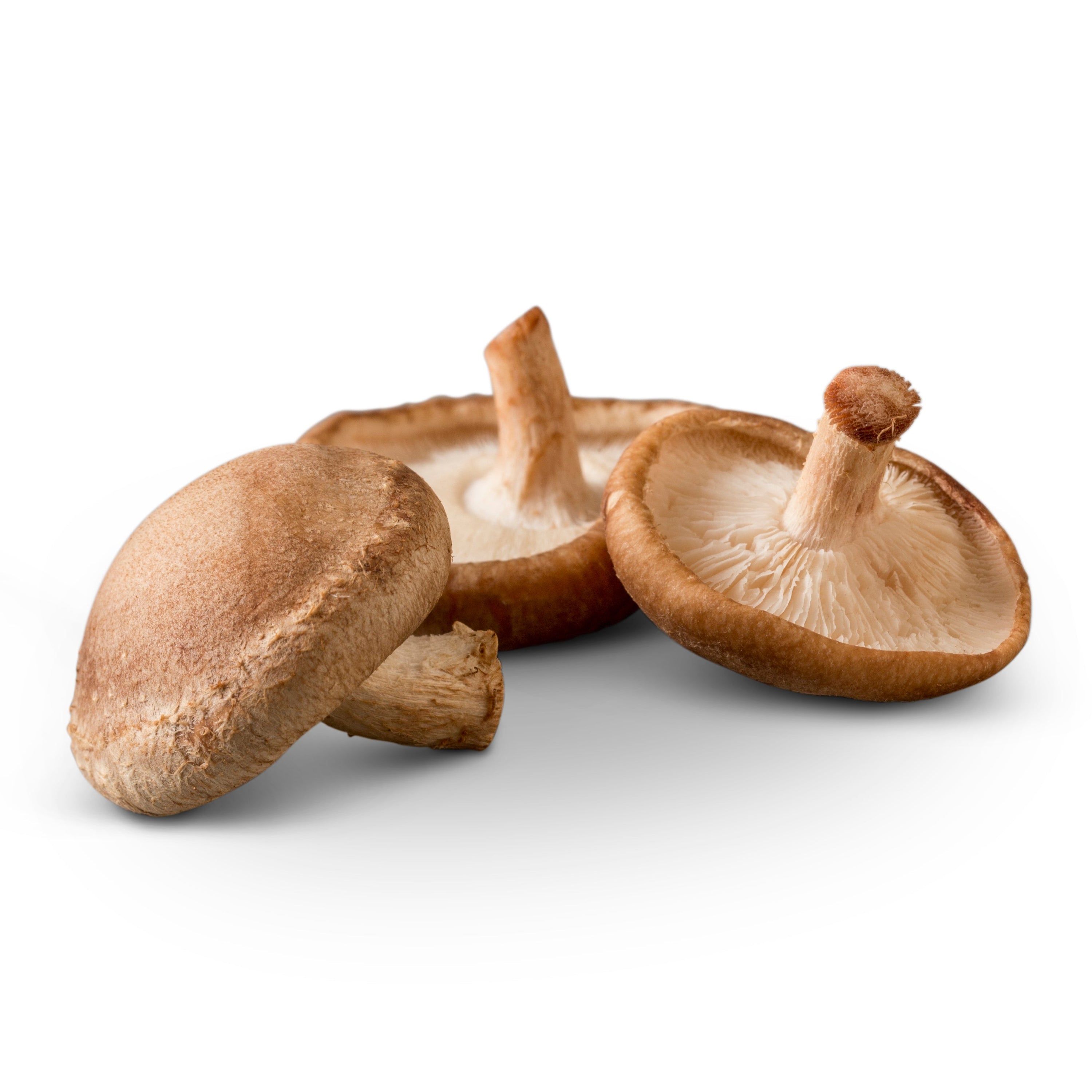 Three fresh shiitake mushrooms with brown caps