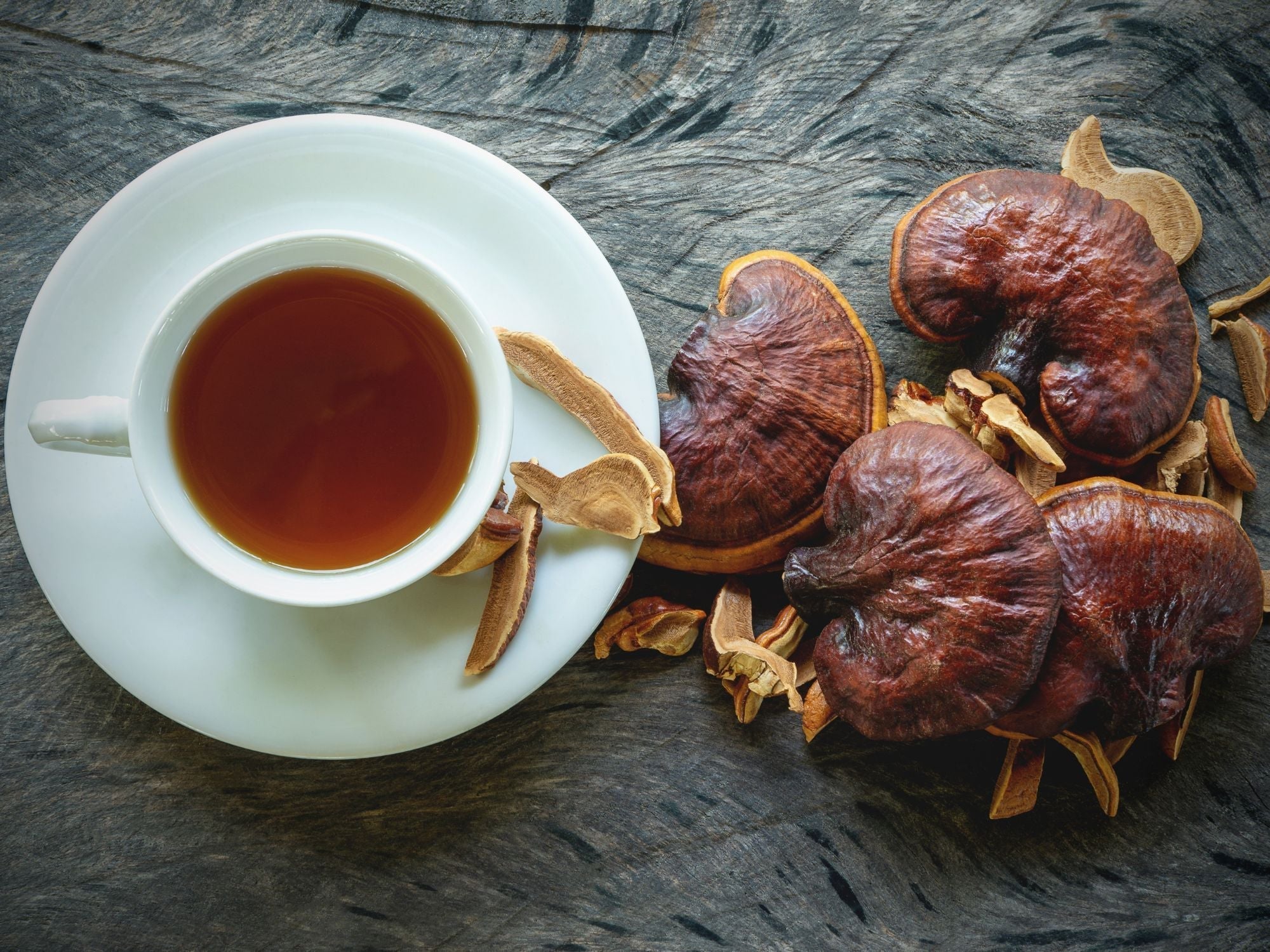 Cup of reishi tea on a saucer beside dried reishi mushrooms and slices