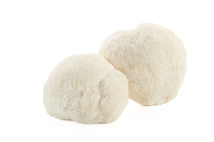 Discover the Health Wonders of Lion's Mane Mushrooms