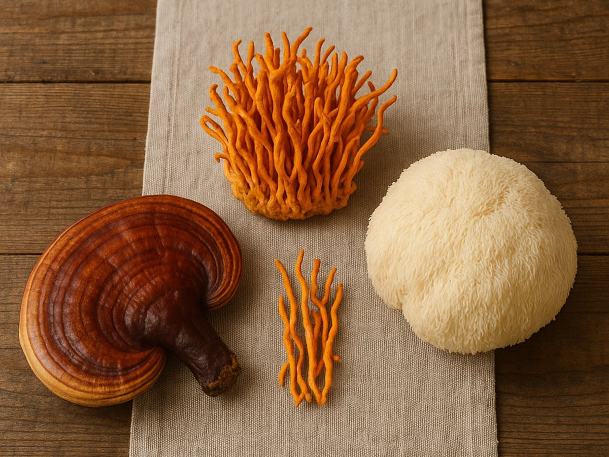 Reishi, cordyceps and lion's mane mushrooms arranged on natural linen