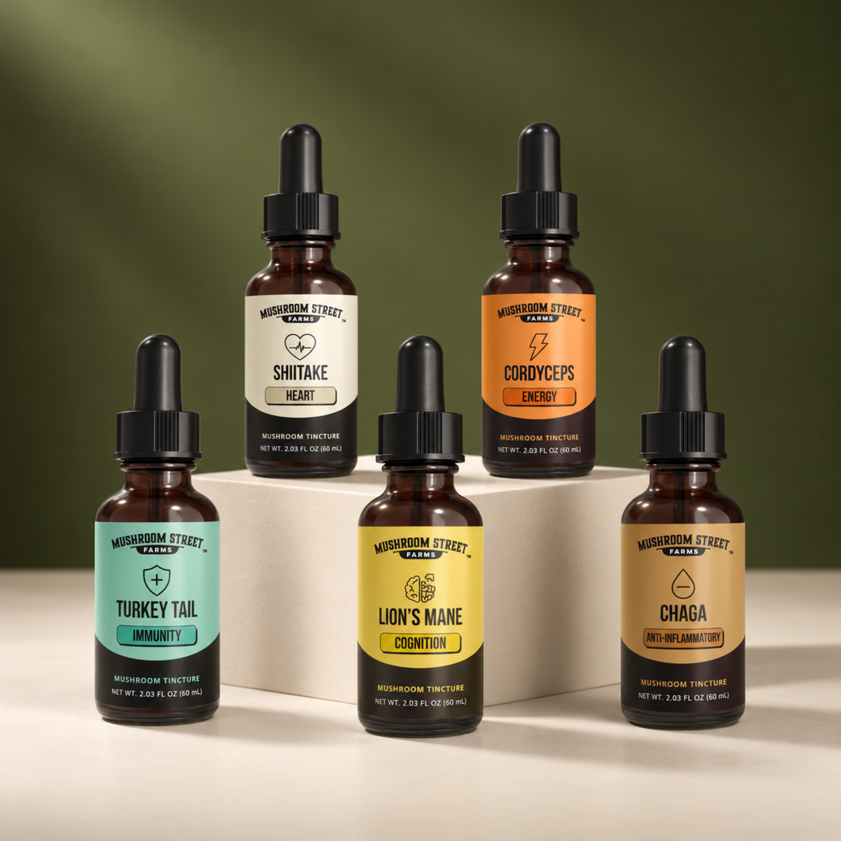 Mushroom Tinctures
