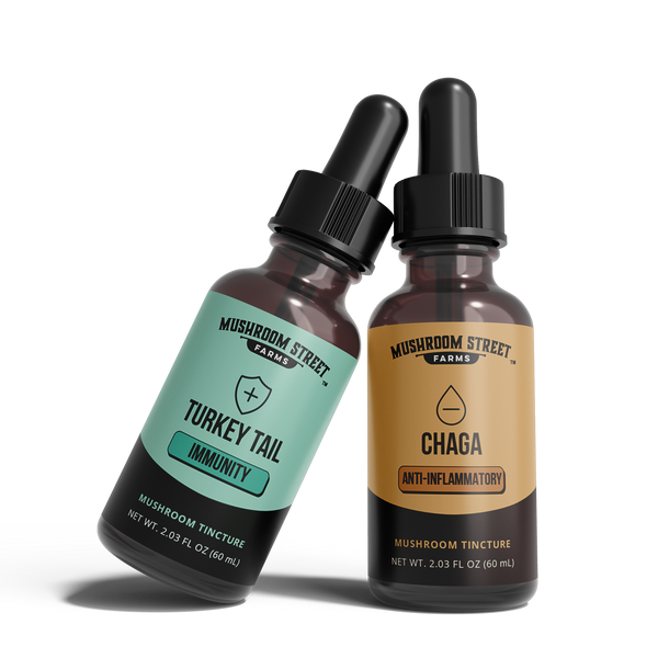Turkey Tail and Chaga mushroom tincture bottles side by side, the Defend + Restore immunity support duo