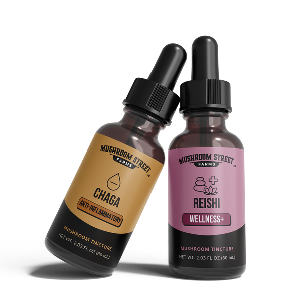 Chaga and Reishi mushroom tincture bottles side by side, the Endure + Thrive longevity duo