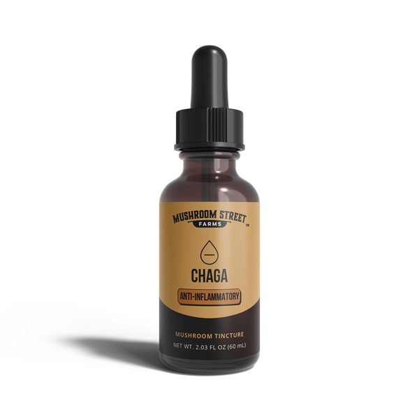 Amber dropper bottle of Mushroom Street Farms Chaga Anti-Inflammatory mushroom tincture, 2.03 fl oz