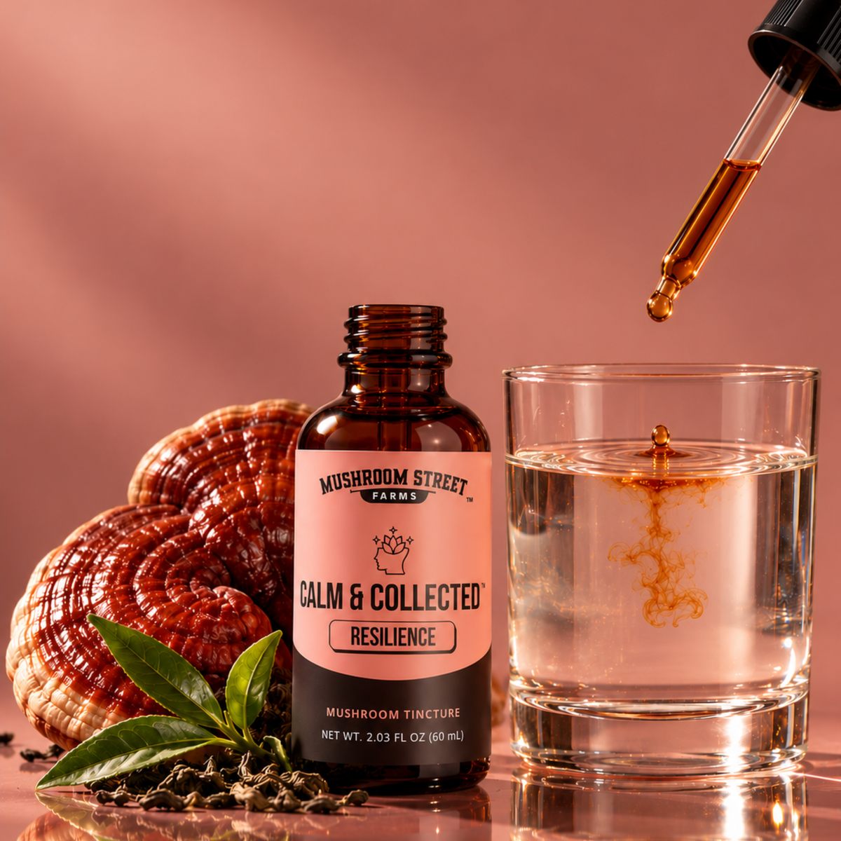 Calm & Collected Mushroom Tincture