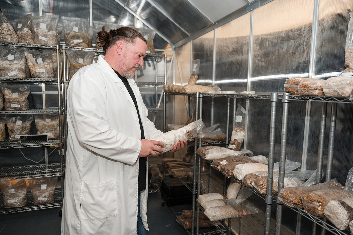 Warren looking at a bag of growing mushrooms in a grow tent