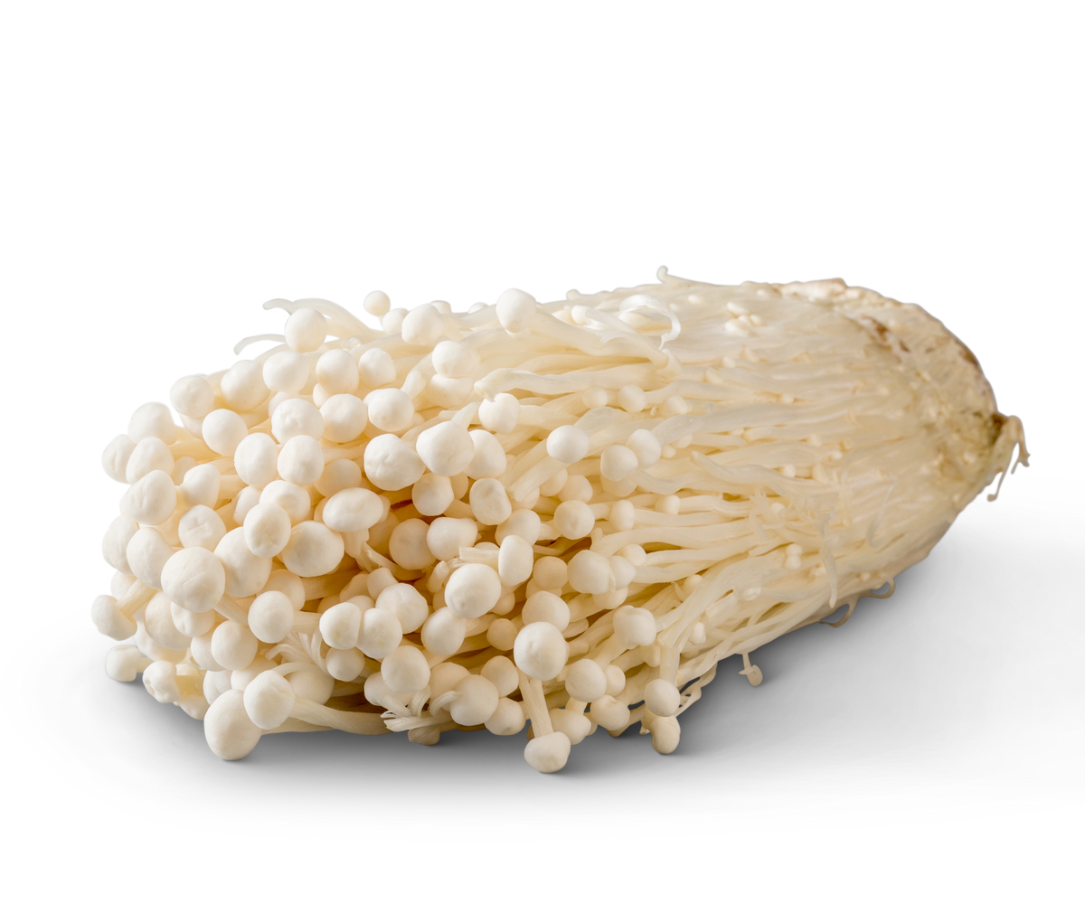 Bunch of fresh enoki mushrooms lying on its side on a white background