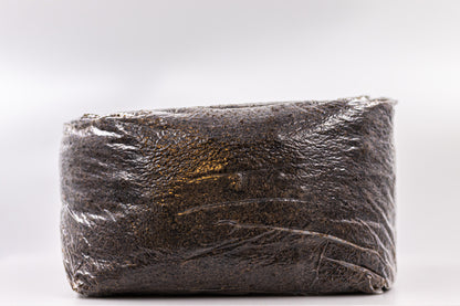 Bag of sterilized grain for mushrooms