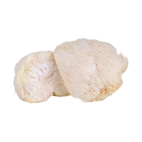 Lion's Mane Mushrooms