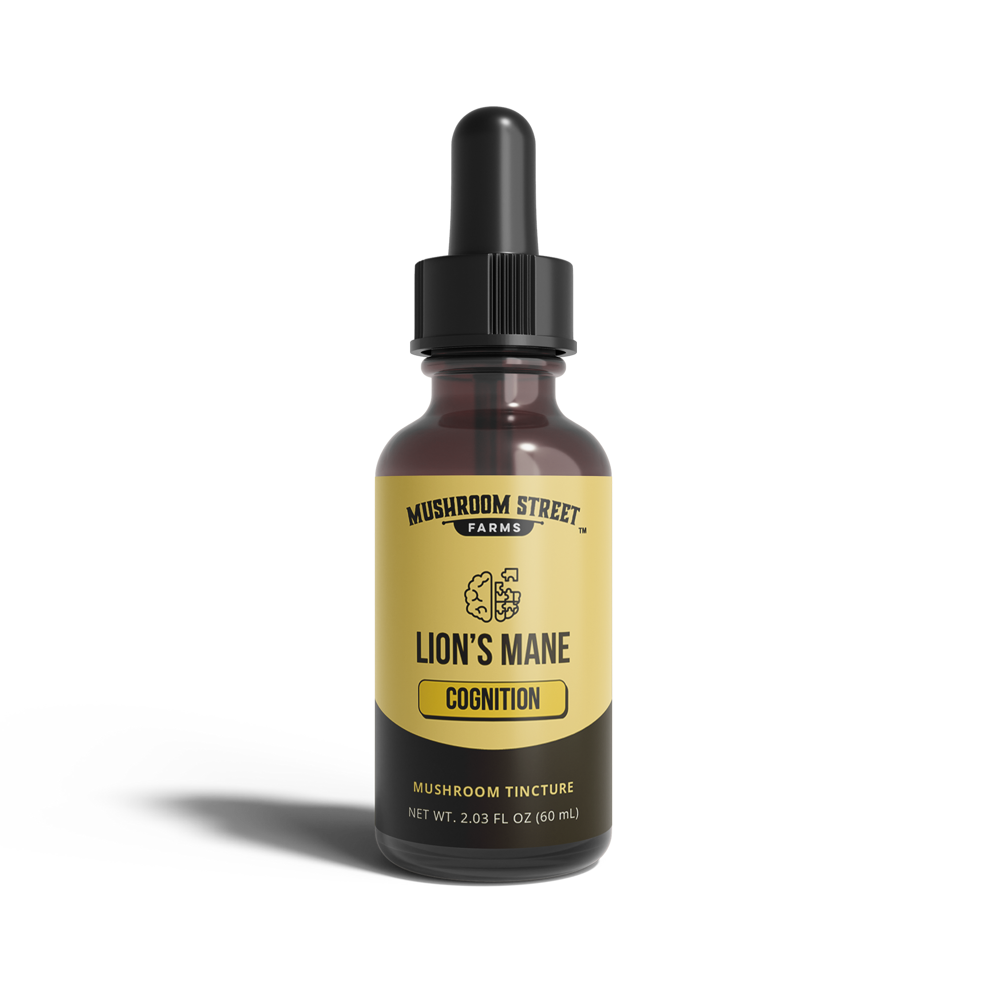 Bottle of Lion's Mane cognition mushroom tincture from Mushroom Street Farms on a white background