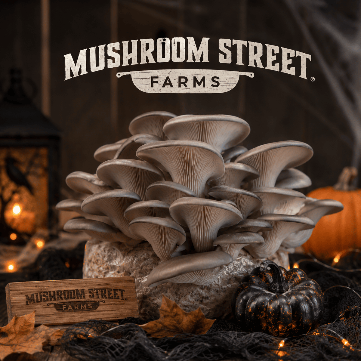 Mushroom Cultivation Workshop & Farm Tour (Oct 10, 2026)