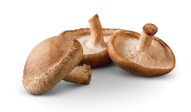 Ingredient Shiitake Mushroom