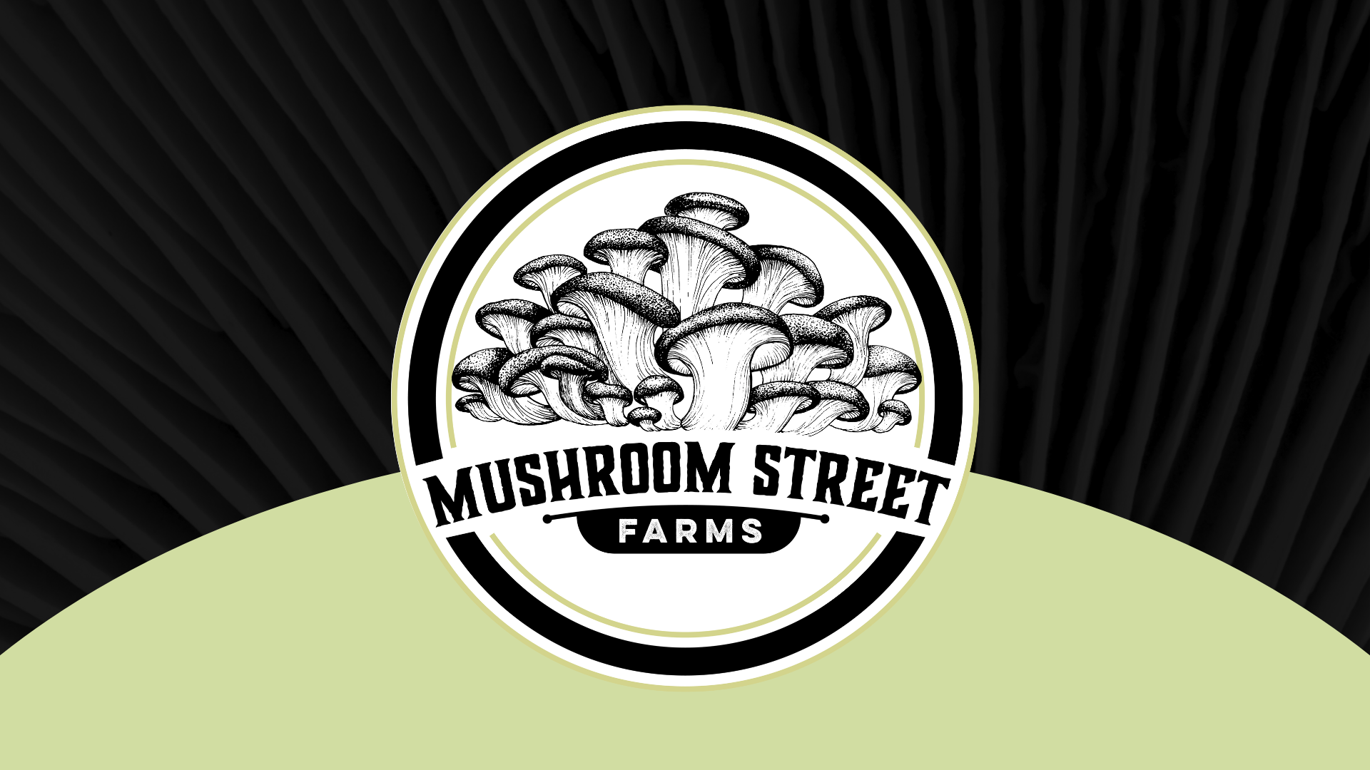 Mushroom Street Farms