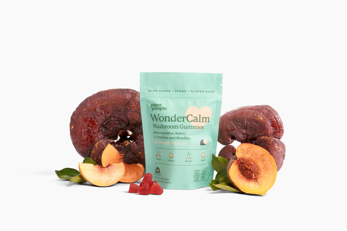 WonderCalm mushroom gummy pouch surrounded by whole peaches, raspberries and a lion's mane mushroom