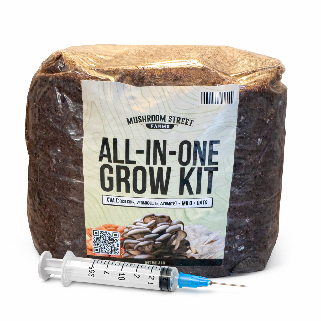Mushroom growing kit with a syringe on a white background