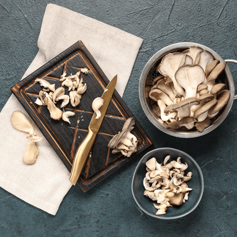 Mushroom Cultivation Workshop & Farm Tour