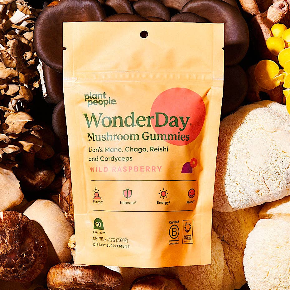 WonderDay mushroom gummy pouch surrounded by dried reishi, chaga and lion's mane mushrooms