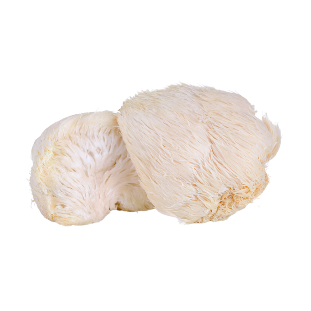 Lion's Mane Mushrooms