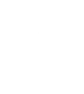 GO TEXAN