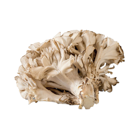 Maitake Mushrooms