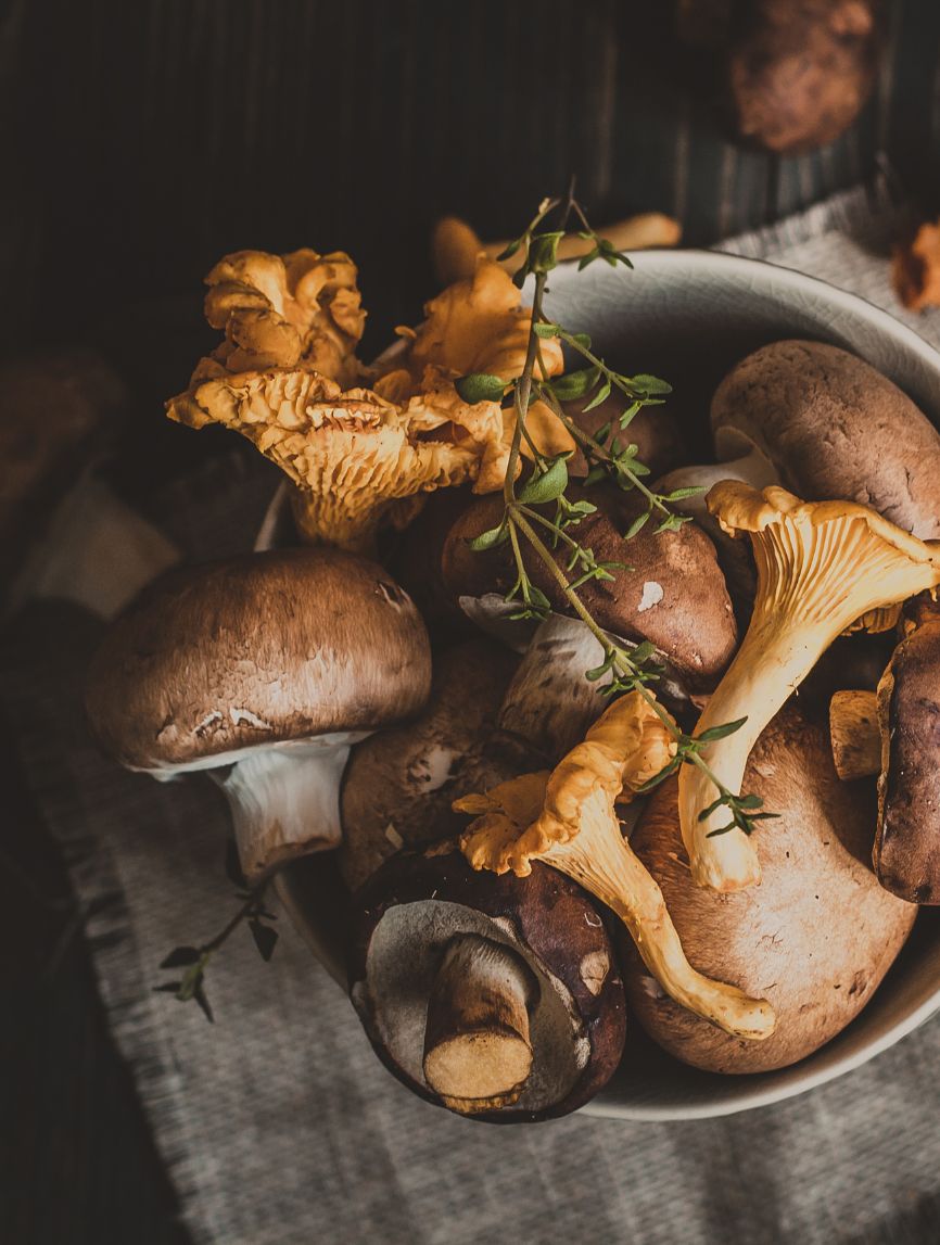 Bowl of assorted mushrooms sitting on dark wood table